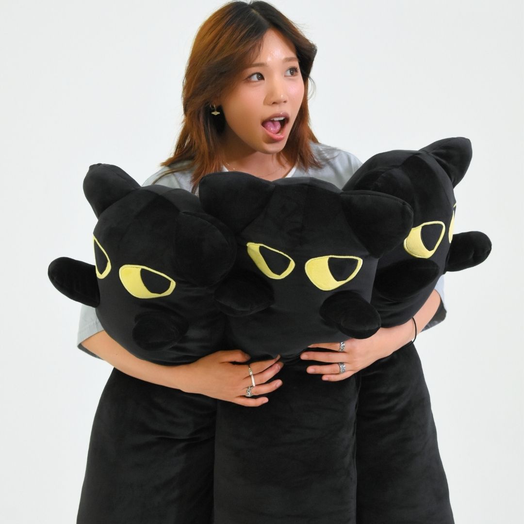 Looooong Cat Plushy