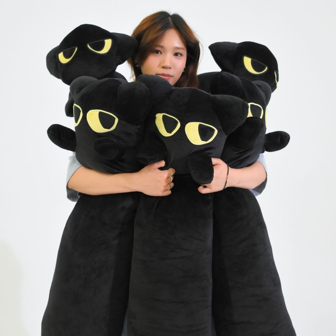 Looooong Cat Plushy